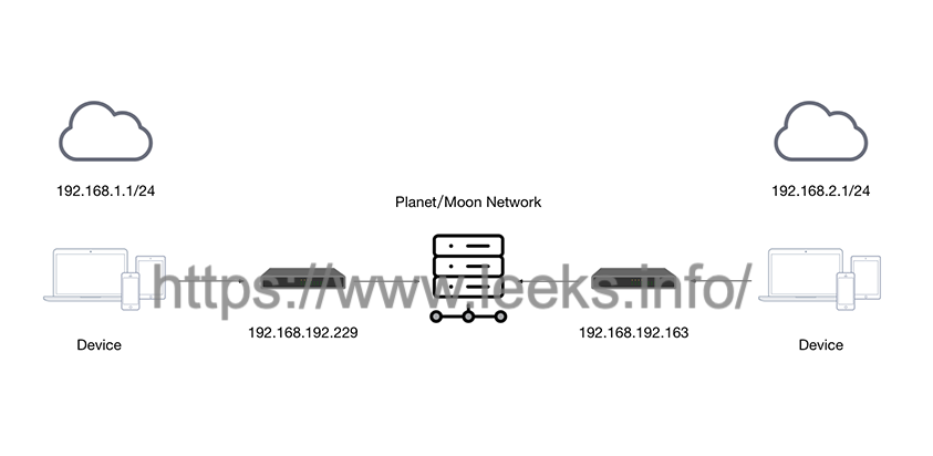 ../../../_images/zerotier-network.png